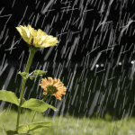 drainage solutions